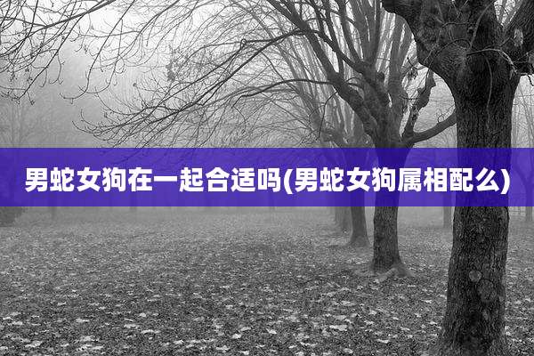 男蛇女狗在一起合适吗(男蛇女狗属相配么)