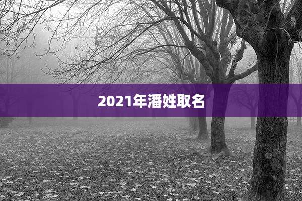 2021年潘姓取名