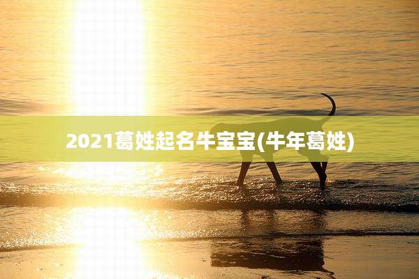2021葛姓起名牛宝宝(牛年葛姓)