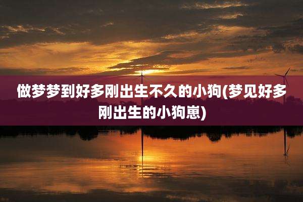 做梦梦到好多刚出生不久的小狗(梦见好多刚出生的小狗崽)