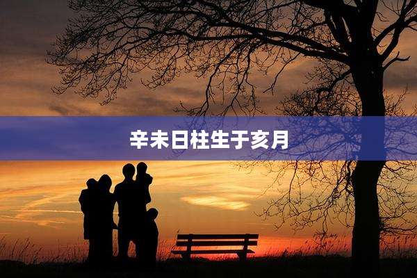辛未日柱生于亥月