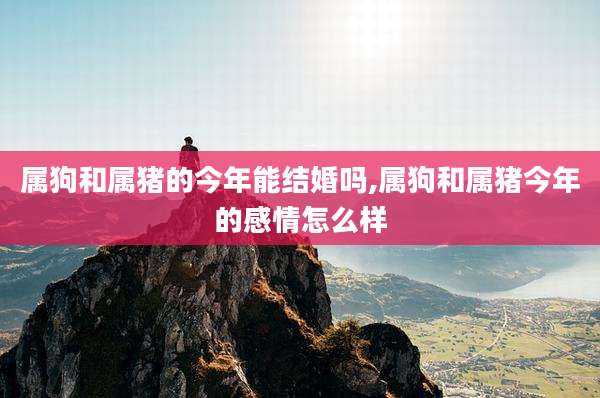 属狗和属猪的今年能结婚吗,属狗和属猪今年的感情怎么样