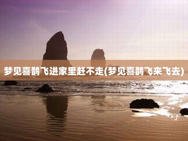 梦见喜鹊飞进家里赶不走(梦见喜鹊飞来飞去)