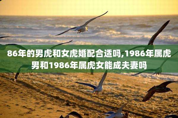 86年的男虎和女虎婚配合适吗,1986年属虎男和1986年属虎女能成夫妻吗