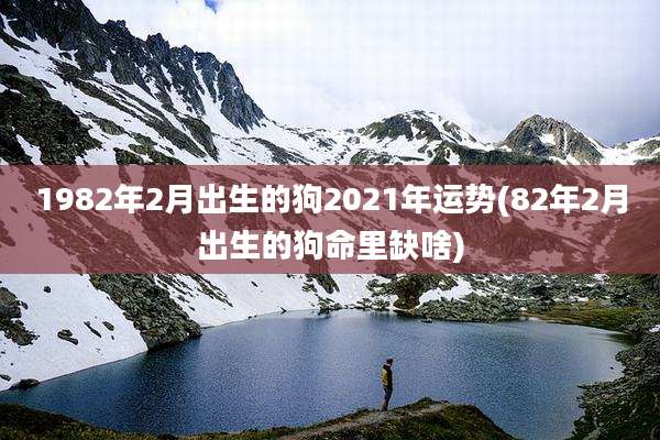 1982年2月出生的狗2021年运势(82年2月出生的狗命里缺啥)