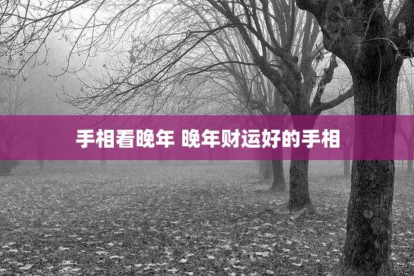 手相看晚年 晚年财运好的手相