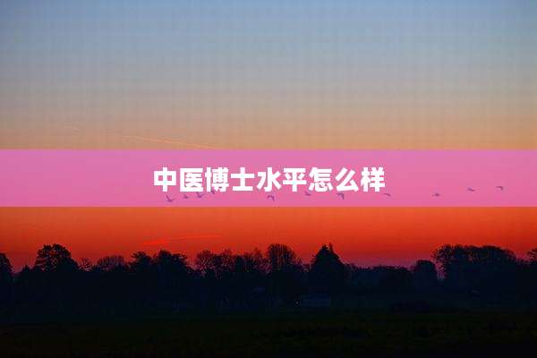 中医博士水平怎么样