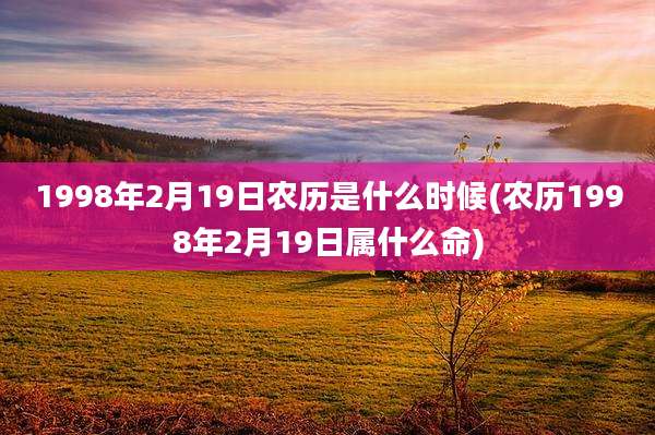1998年2月19日农历是什么时候(农历1998年2月19日属什么命)