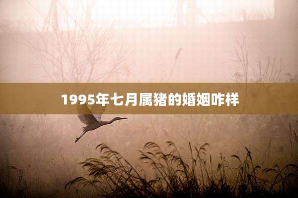 1995年七月属猪的婚姻咋样