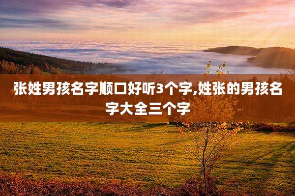 张姓男孩名字顺口好听3个字,姓张的男孩名字大全三个字