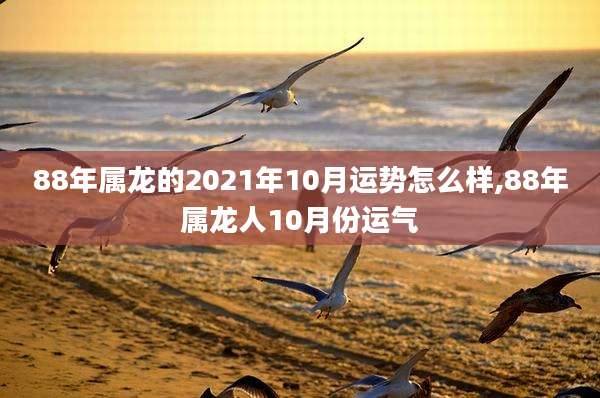 88年属龙的2021年10月运势怎么样,88年属龙人10月份运气