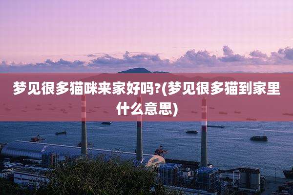 梦见很多猫咪来家好吗?(梦见很多猫到家里什么意思)