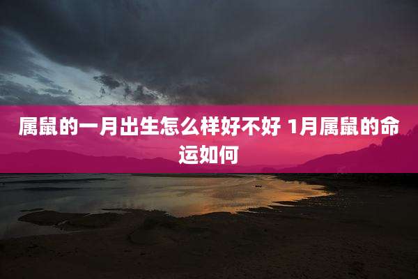 属鼠的一月出生怎么样好不好 1月属鼠的命运如何