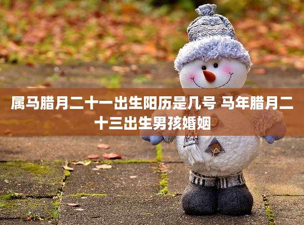 属马腊月二十一出生阳历是几号 马年腊月二十三出生男孩婚姻
