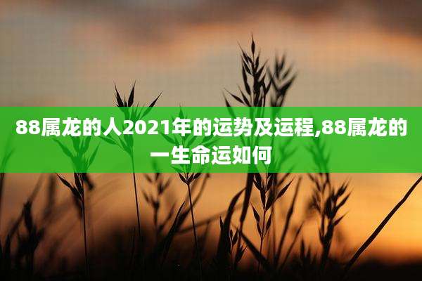 88属龙的人2021年的运势及运程,88属龙的一生命运如何