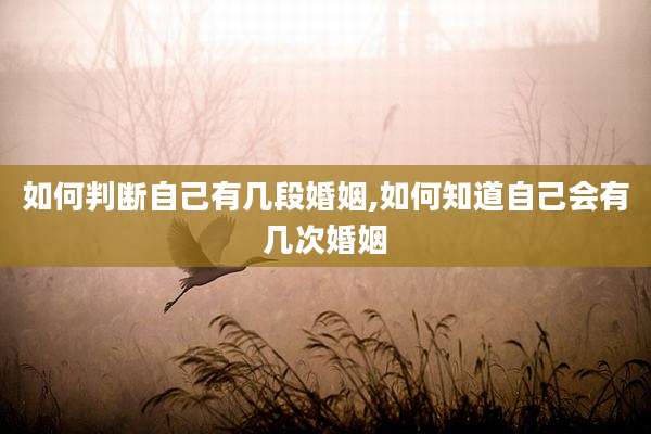 如何判断自己有几段婚姻,如何知道自己会有几次婚姻