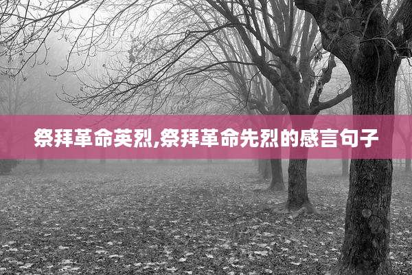 祭拜革命英烈,祭拜革命先烈的感言句子