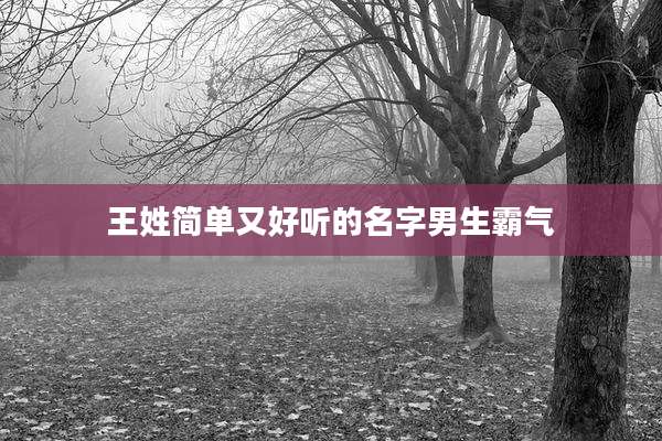王姓简单又好听的名字男生霸气