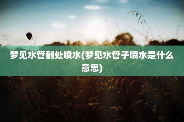 梦见水管到处喷水(梦见水管子喷水是什么意思)