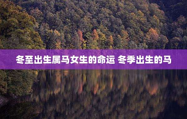 冬至出生属马女生的命运 冬季出生的马