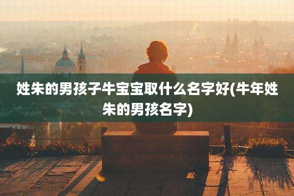 姓朱的男孩子牛宝宝取什么名字好(牛年姓朱的男孩名字)