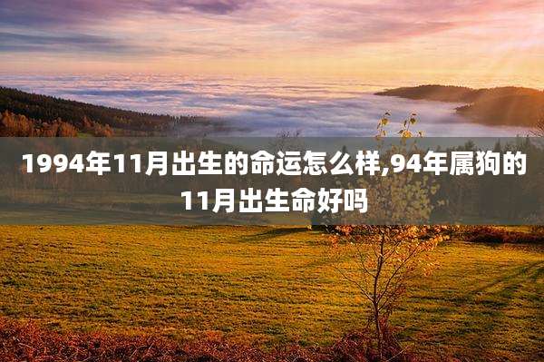 1994年11月出生的命运怎么样,94年属狗的11月出生命好吗