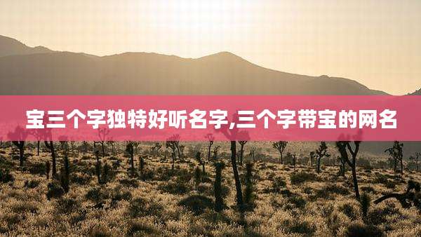 宝三个字独特好听名字,三个字带宝的网名