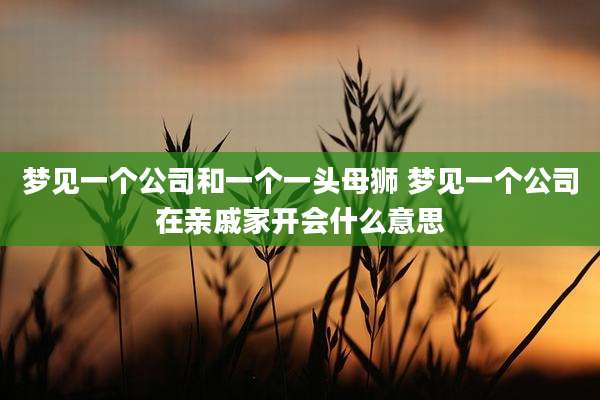 梦见一个公司和一个一头母狮 梦见一个公司在亲戚家开会什么意思
