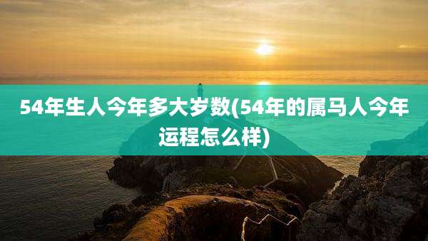 54年生人今年多大岁数(54年的属马人今年运程怎么样)