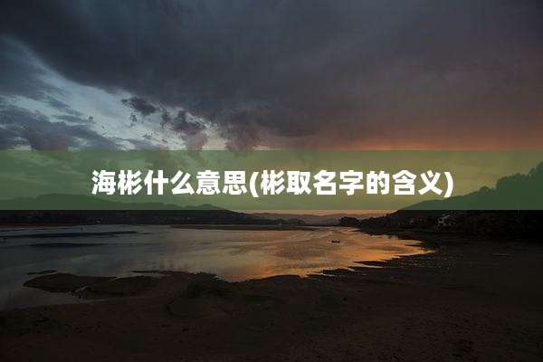 海彬什么意思(彬取名字的含义)