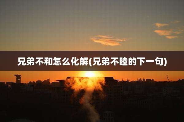 兄弟不和怎么化解(兄弟不睦的下一句)
