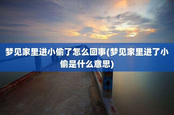 梦见家里进小偷了怎么回事(梦见家里进了小偷是什么意思)
