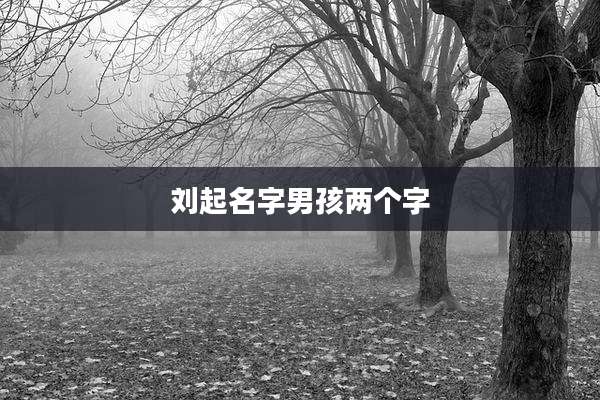 刘起名字男孩两个字