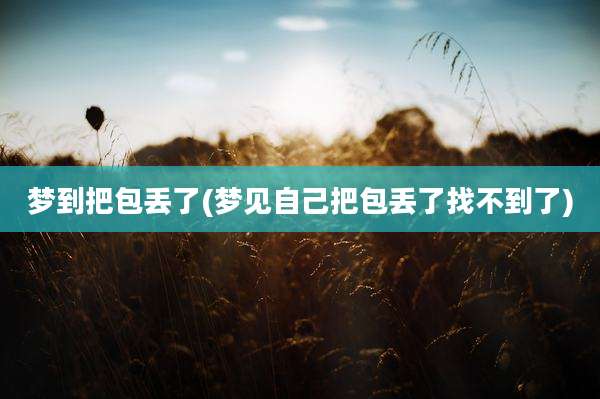 梦到把包丢了(梦见自己把包丢了找不到了)