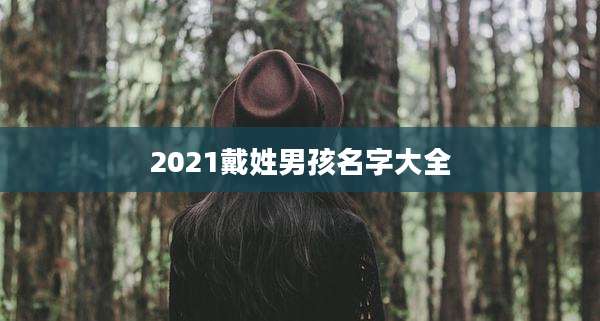 2021戴姓男孩名字大全