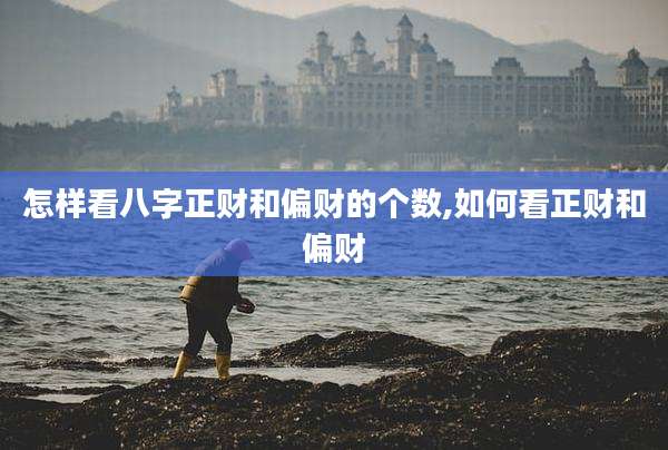 怎样看八字正财和偏财的个数,如何看正财和偏财
