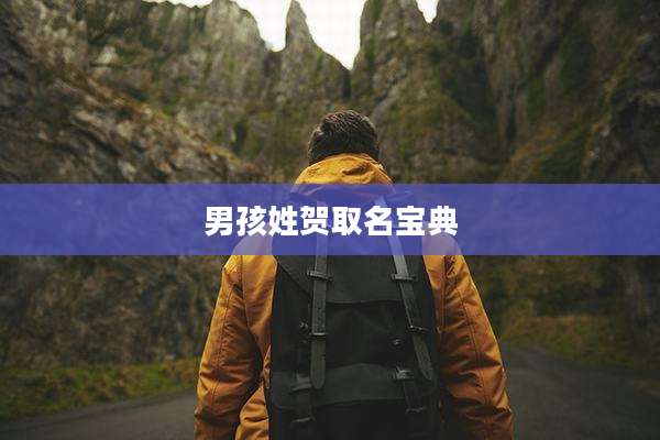 男孩姓贺取名宝典