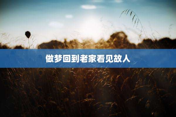 做梦回到老家看见故人