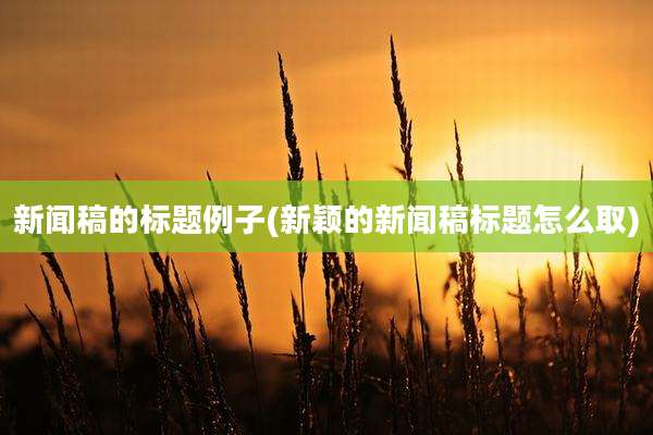 新闻稿的标题例子(新颖的新闻稿标题怎么取)