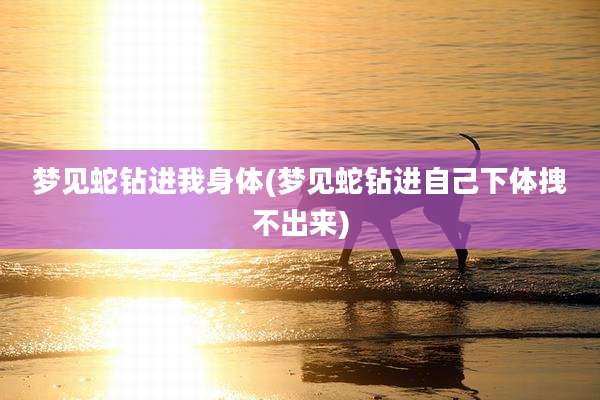 梦见蛇钻进我身体(梦见蛇钻进自己***拽不出来)