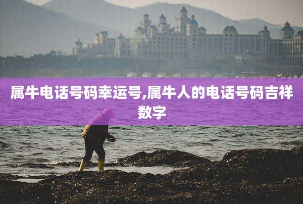 属牛电话号码幸运号,属牛人的电话号码吉祥数字