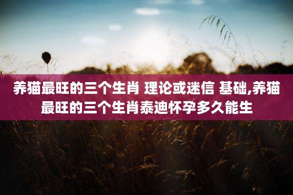 养猫最旺的三个生肖 理论或迷信 基础,养猫最旺的三个生肖泰迪怀孕多久能生