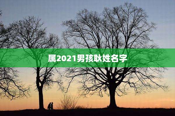 属2021男孩耿姓名字