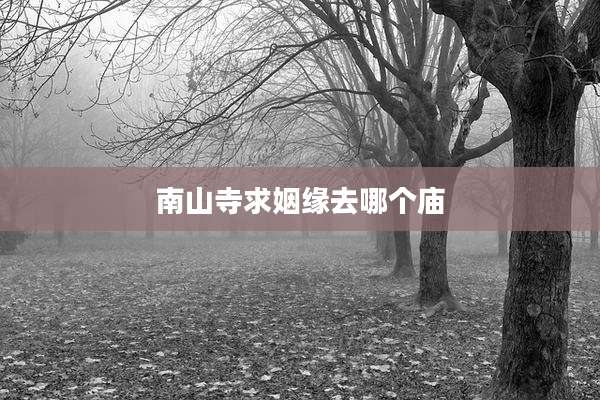 南山寺求姻缘去哪个庙