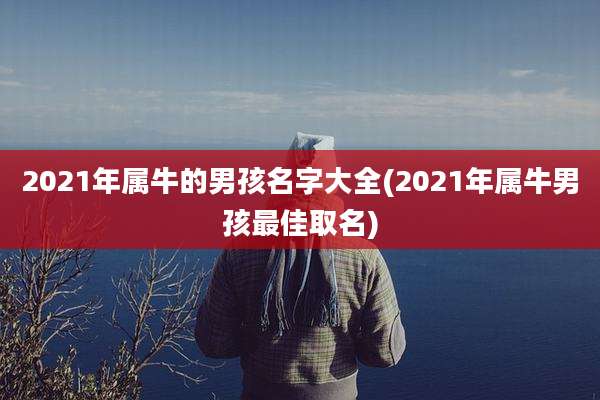2021年属牛的男孩名字大全(2021年属牛男孩最佳取名)