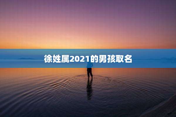 徐姓属2021的男孩取名
