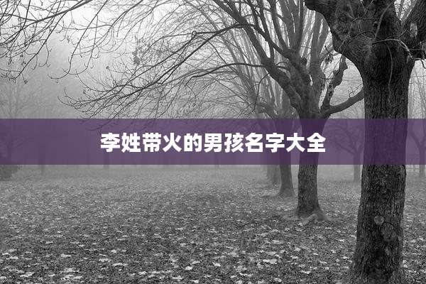 李姓带火的男孩名字大全