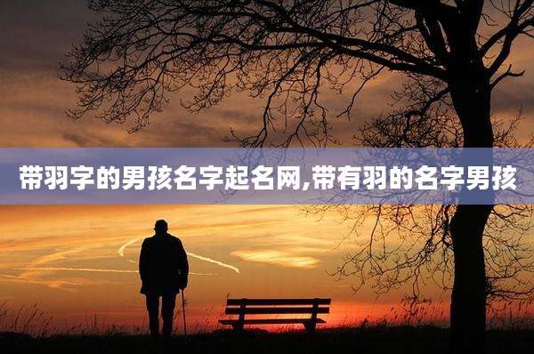 带羽字的男孩名字起名网,带有羽的名字男孩