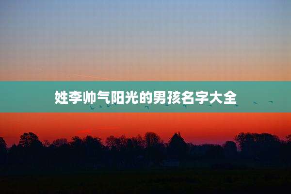 姓李帅气阳光的男孩名字大全