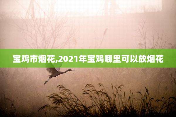 宝鸡市烟花,2021年宝鸡哪里可以放烟花